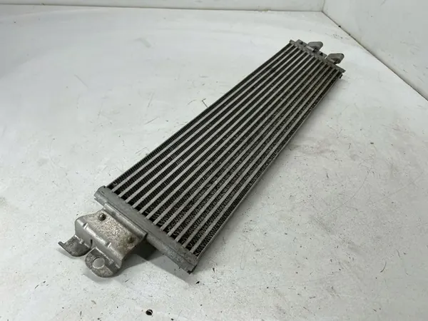 Radiador de óleo Volkswagen Tiguan Allspace 5QF317019A image 5