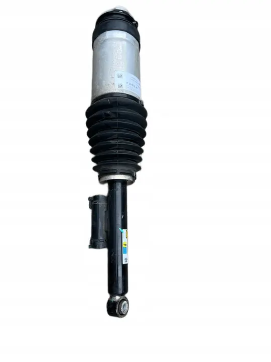 Amortizzatore posteriore sinistro Tesla X RAVEN 1027062-00-C image 2