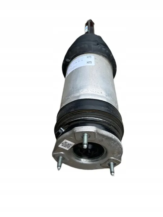 Amortizzatore posteriore sinistro Tesla X RAVEN 1027062-00-C image 5