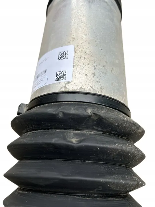 Amortizzatore posteriore sinistro Tesla X RAVEN 1027062-00-C image 6