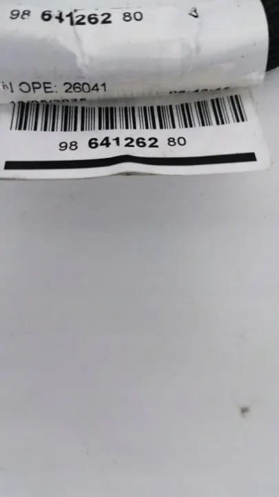 OEM 9864126280 Korkeajännitekaapeli Citroen e-C3 2024 image 7