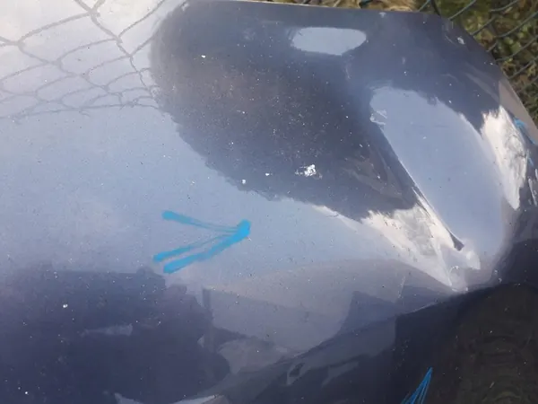 Motorhuv Renault Master III 2010-2013 image 4