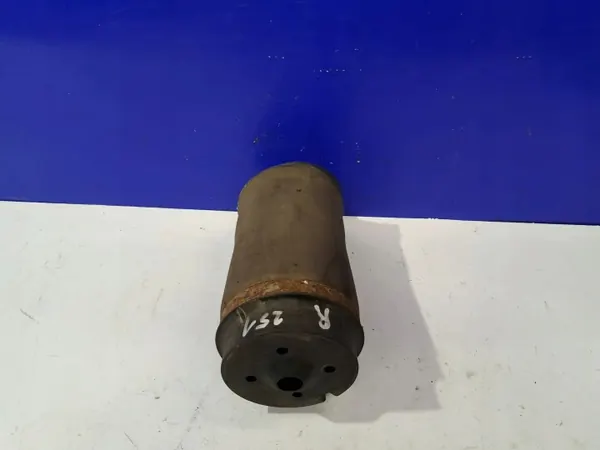 Amortecedor pneumático traseiro direito OEM A2513200025 image 2