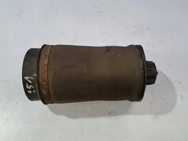 Amortecedor pneumático traseiro direito OEM A2513200025 image 3