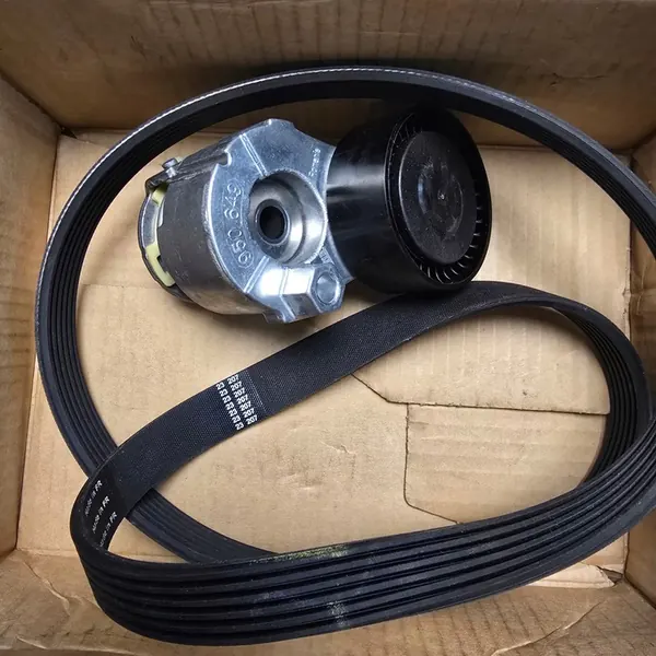 Conjunto de correia multi-ranhura SKF VKMA 36179 image 5