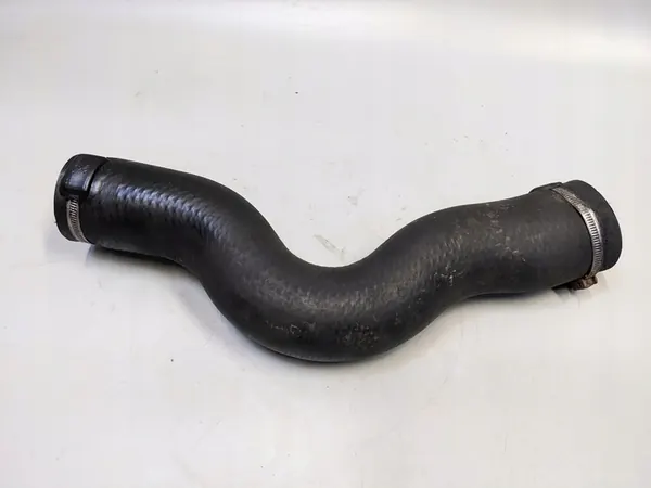 Manguera de admisión de aire Bugiad 88629 image 2