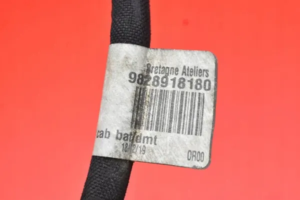 Minuspool OEM 9828918180 voor Toyota Proace City II image 6