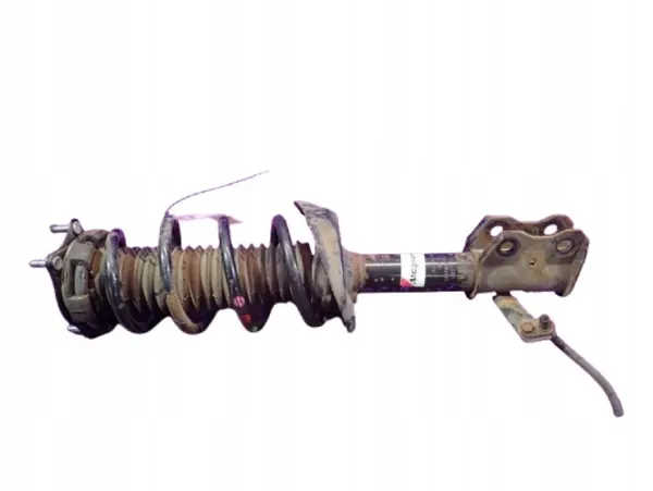 Voor Linker Schokdemper OEM Zawada-379545- image 2