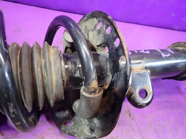 Voor Linker Schokdemper OEM Zawada-379545- image 10