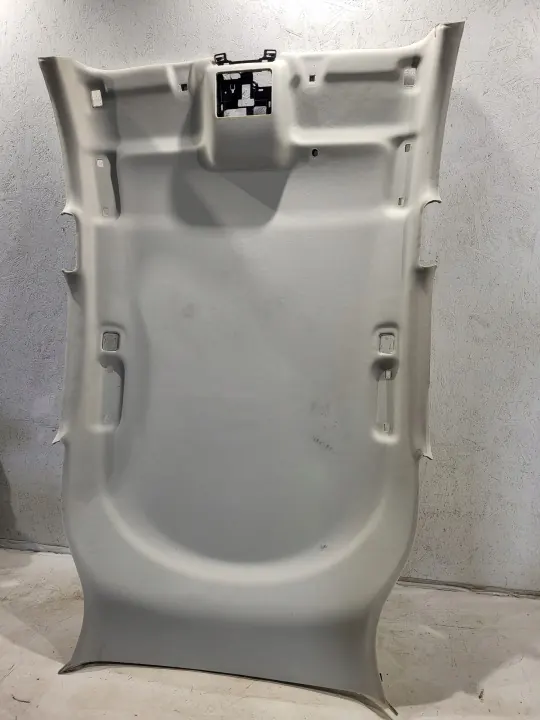 Techo Ford Kuga MK3 OEM LV4B-S51916 Titanio Claro image 3