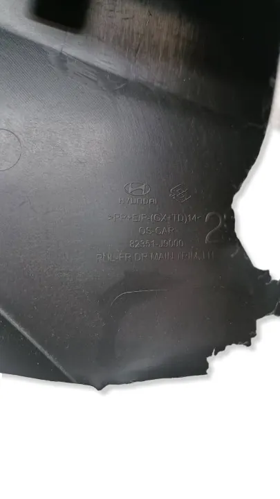 Hyundai Kona Voorrechter Deurbekleding OEM 82351J9000 image 6