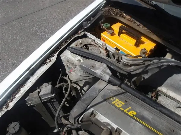 Barre RENAULT 19 SPORT WILLIAMS 16V image 3