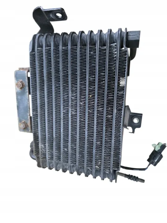 Jäähdytinpuhallin OEM 065000-4210 image 6