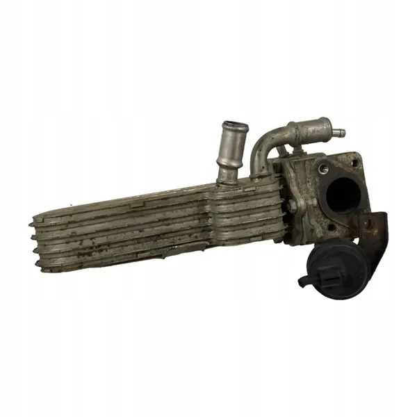 EGR-Kühler Volkswagen Golf V 038131513AD image 6