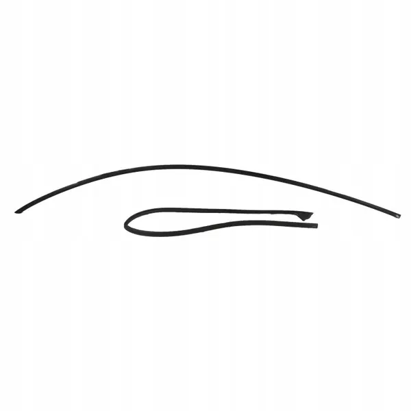 Joint de Rail de Toit Gauche OEM 1621160-00-A Noir Mat image 2