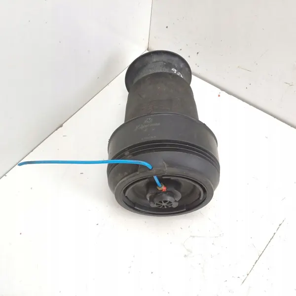 BMW X5 E70 Bakre luftfjädringspåse OEM R309512606 image 2