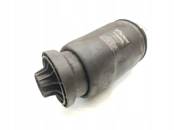 Mercedes-Benz R-Class achteras luchtvering demper OEM 29-6276 image 9