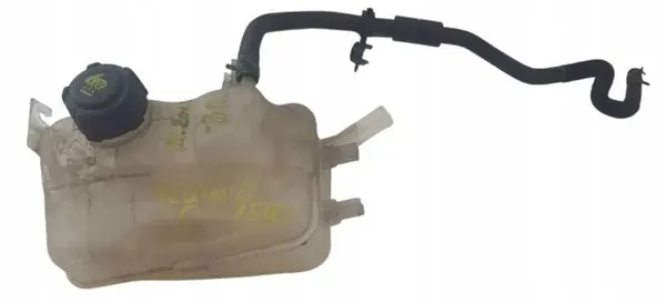 Réservoir d'expansion OEM 217100005r-4car image 2