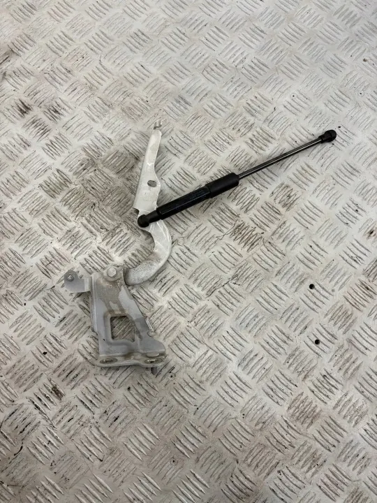 Bisagra de Capó Derecha OEM 654004002R Renault Trafic image 2