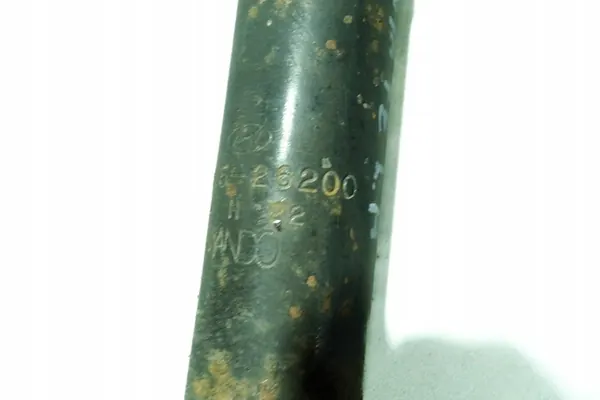 Ammortizzatore posteriore HYUNDAI SANTA FÉ I 5530526200 image 5