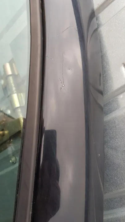 OEM L041 Rechter Vordertürheber für Sharan/Alhambra image 5