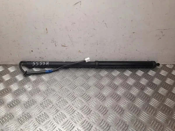 Gasveer Lexus RX 2021 OEM 68910-48100 image 2