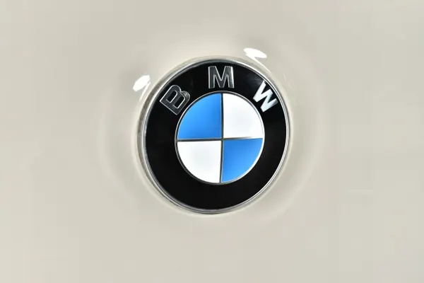Puerta Trasera BMW X3 G45 OEM 530510550 - Usado image 4