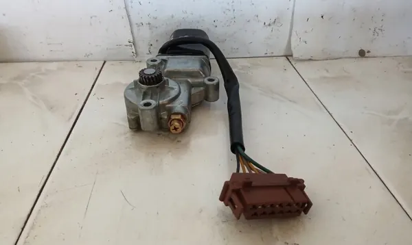 Dachmotor OEM 10005061A für Renault Modus image 5