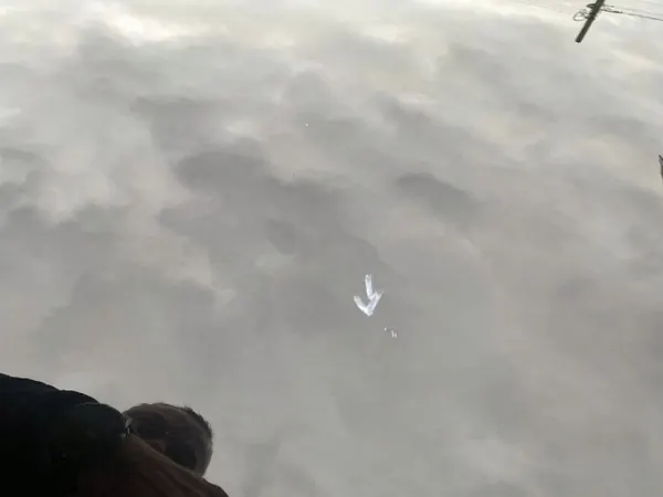 Motorhuv VW ID4 2020- OEM 11A823031 image 6