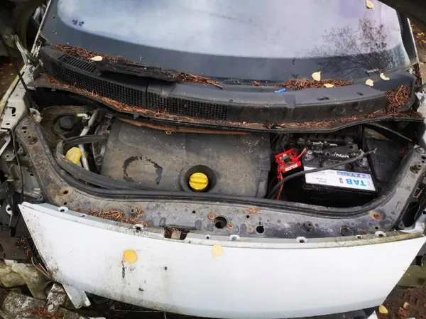 Auspuffkrümmer Renault Scenic OEM 8200145096 image 7