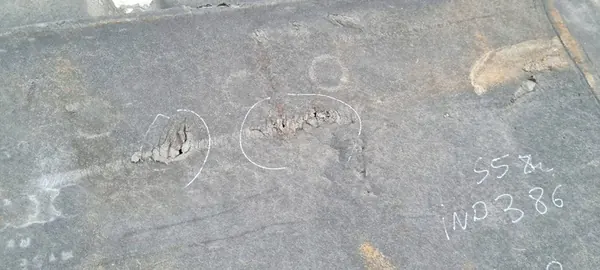 Audi A5 8W6 Höger Underredsskydd 8W6825208B image 10