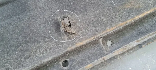 Audi A5 8W6 Höger Underredsskydd 8W6825208B image 9