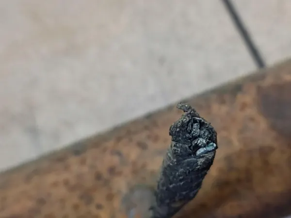 OPEL MOVANO Engate image 5