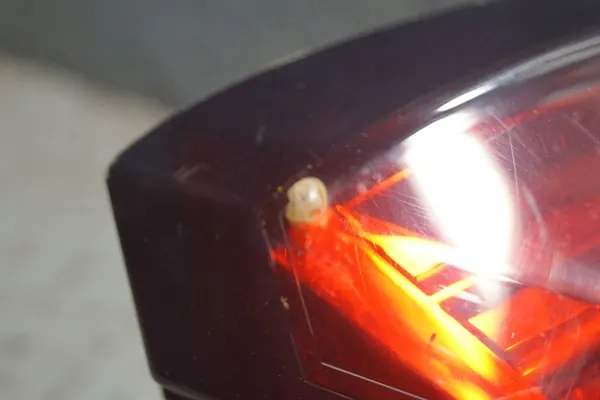 LÁMPARA TRASERA IZQUIERDA FIAT GRANDE PUNTO EVO image 8