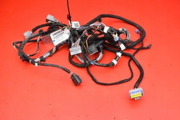 Harness Porta Dianteira Esquerda OEM 2004419-00-B image 2