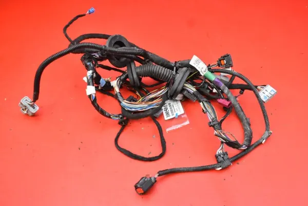 Harness Porta Dianteira Esquerda OEM 2004419-00-B image 4