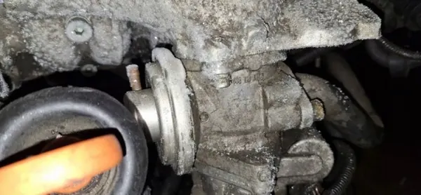 Válvula EGR OEM 038129637d para Audi A3 2.0L 2004 image 3
