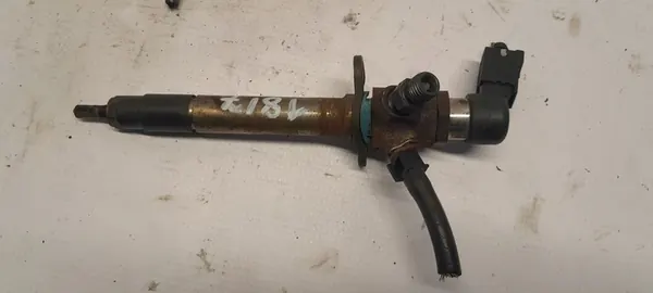 Inyector PEUGEOT 407 COUPE 2.7 HDI 5U3Q9K546AA image 2