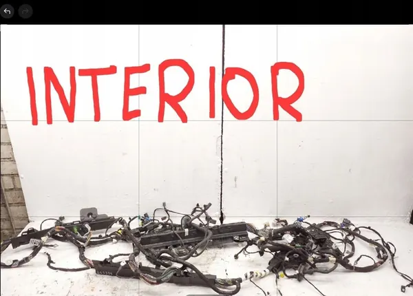 Bedrading Ford Mustang Mach-E image 1