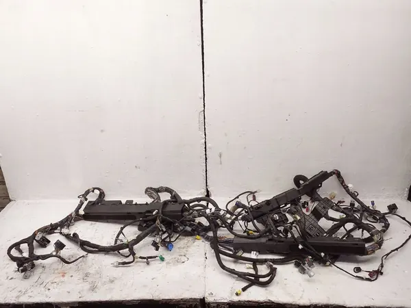 Bedrading Ford Mustang Mach-E image 2