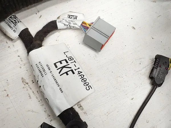 Bedrading Ford Mustang Mach-E image 3