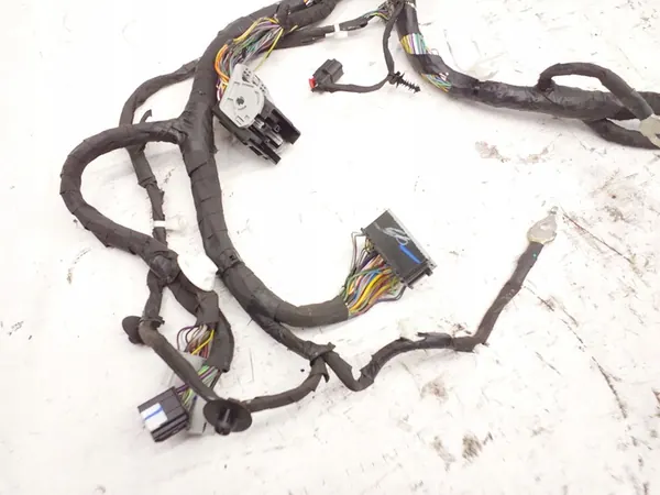 Bedrading Ford Mustang Mach-E image 4