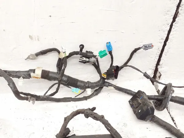 Bedrading Ford Mustang Mach-E image 6