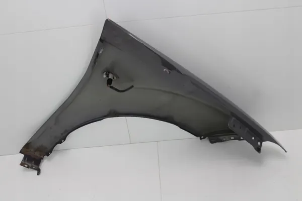 OEM 360211343 Etu vasen lokasuoja Citroen C-Crosser image 5