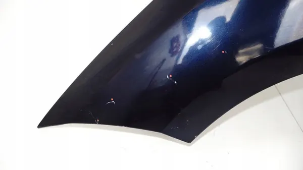 Aile Avant Gauche Renault Megane III 08-12R image 5