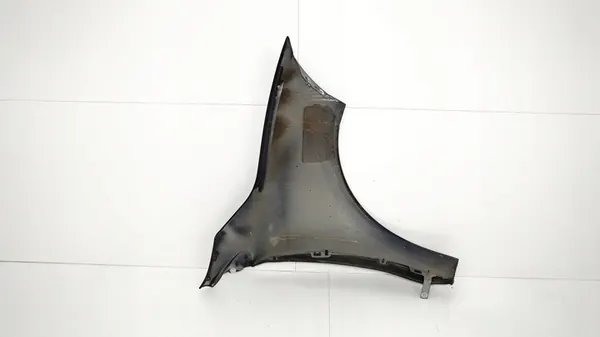 Aile Avant Gauche Renault Megane III 08-12R image 9