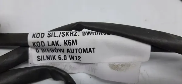 SONDA LAMBDA BENTLEY FLYING SPUR 6.0 W12 1K0998262B image 2