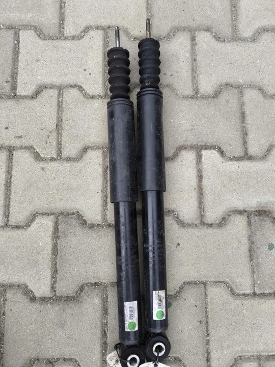 Ammortizzatori Posteriori Clio 8200584312 Set image 2