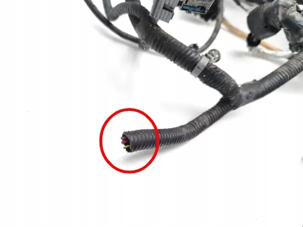 Chevrolet Volt Motor Kabelbaum EV 150 22869516 image 2