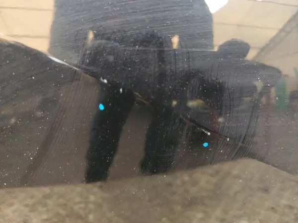 Voorste rechter deur OEM DRZWI PRAWY PRZÓD KIA RIO III HB 3D image 6